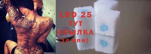 бошки Горняк