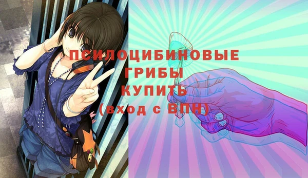 мдпв Горно-Алтайск