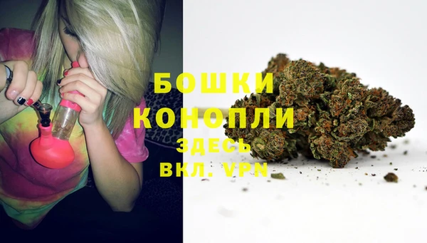 мдпв Горно-Алтайск