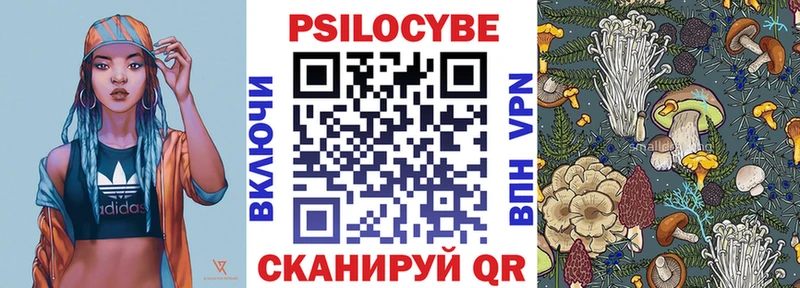 Купить  Саратов  Псилоцибиновые грибы Psilocybe 